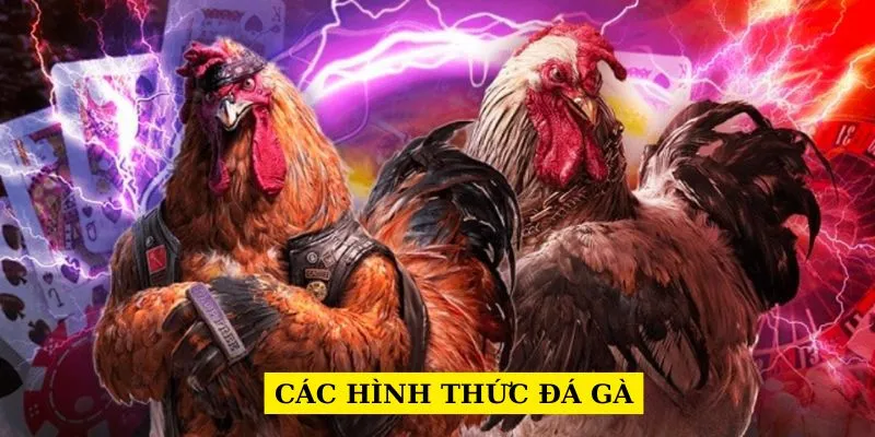 cac-hinh-thuc-da-ga